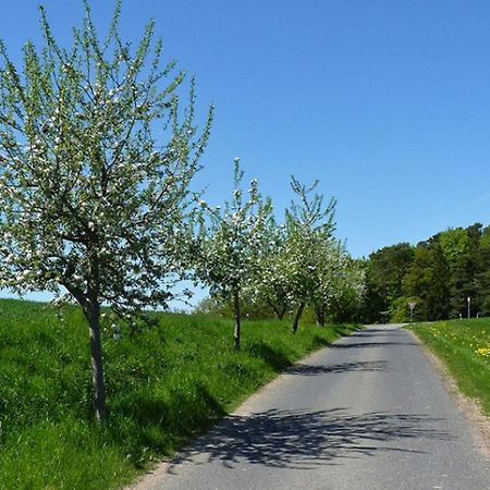 Ferienwohnung Jacobi Kurfuerst Naumburg (Hessen) Екстериор снимка
