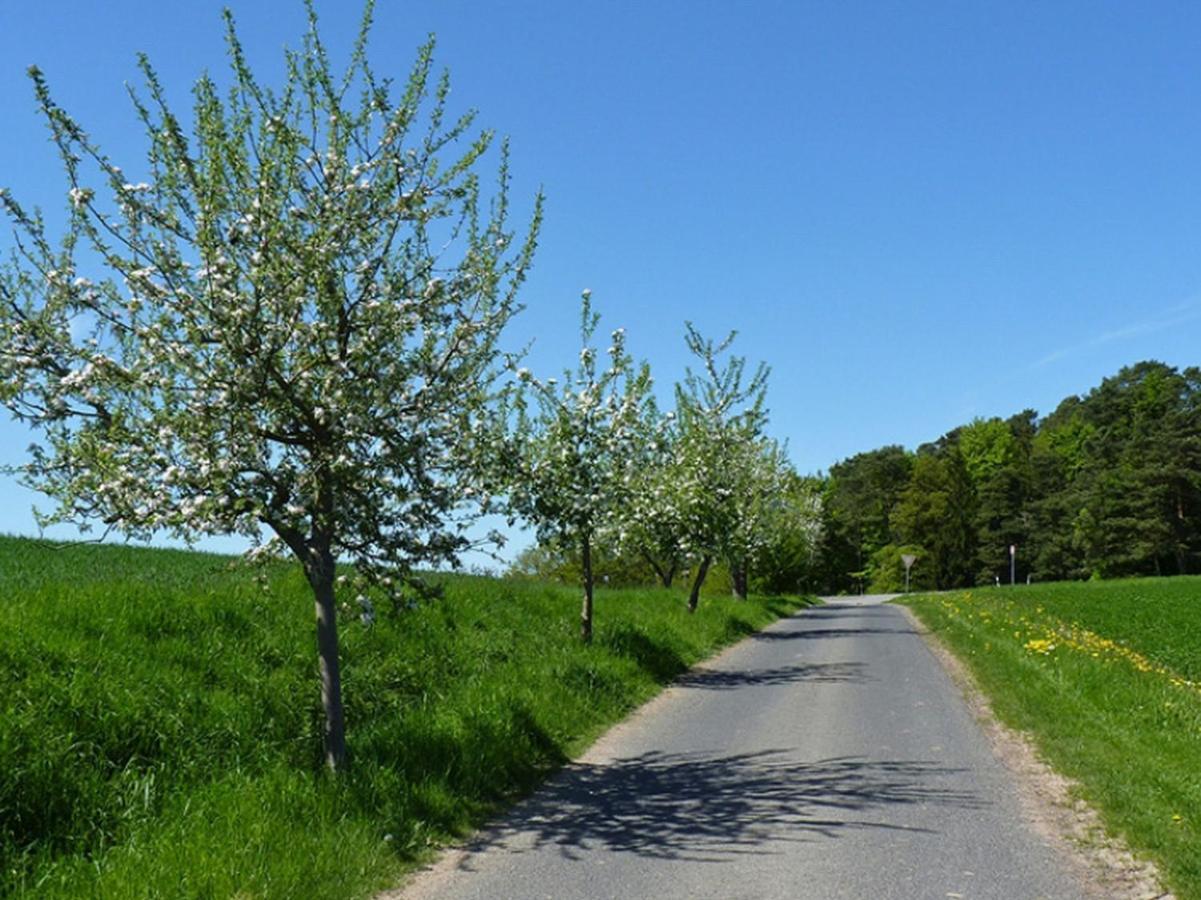 Ferienwohnung Jacobi Kurfuerst Naumburg (Hessen) Екстериор снимка