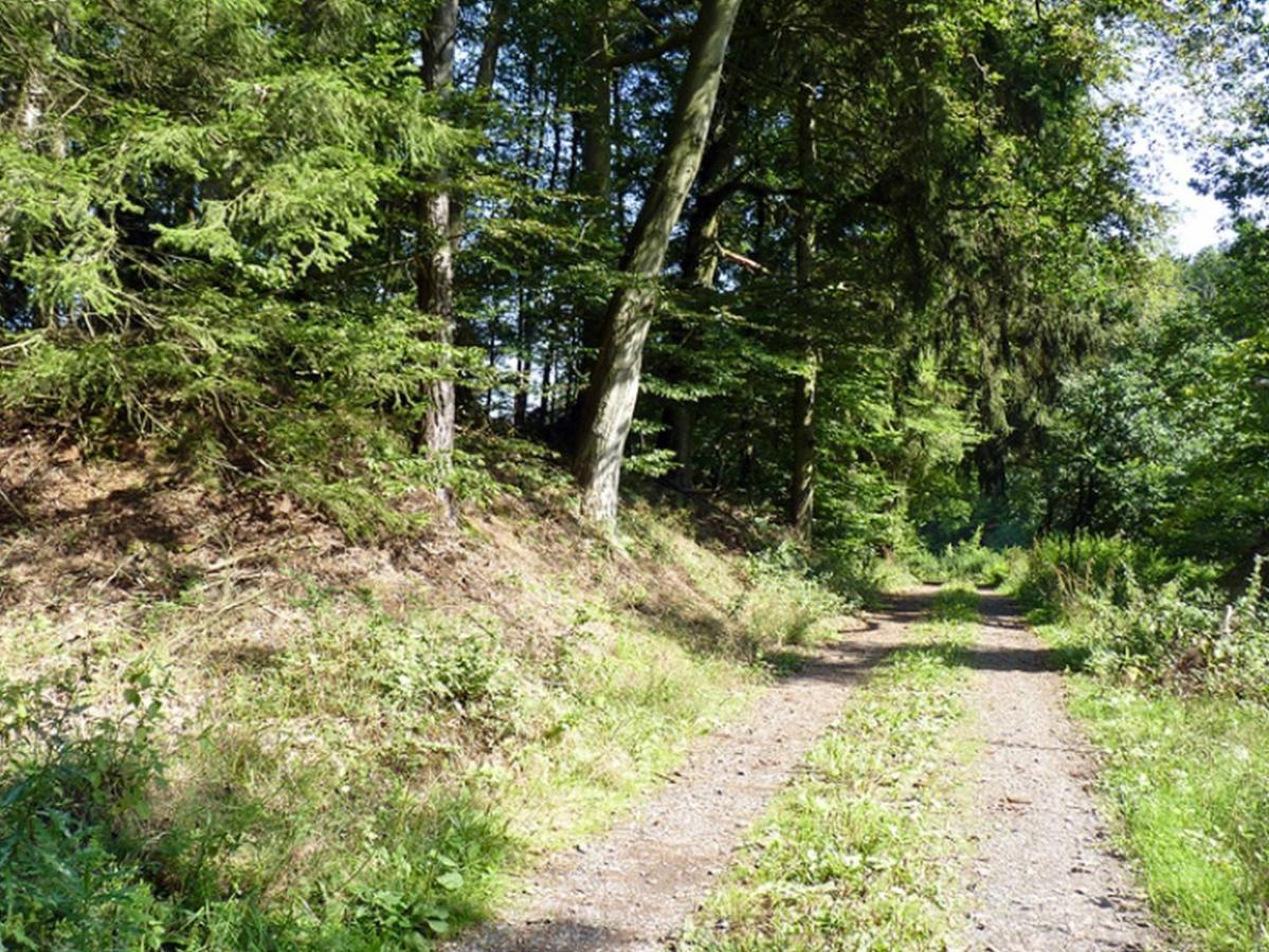 Ferienwohnung Jacobi Kurfuerst Naumburg (Hessen) Екстериор снимка