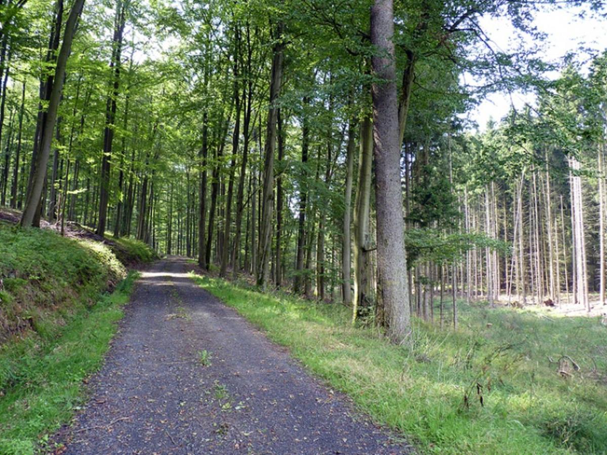 Ferienwohnung Jacobi Kurfuerst Naumburg (Hessen) Екстериор снимка